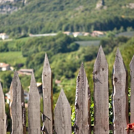 Апартаменти Santlhof - Sauvignon Кортачча-сулла-Страда-дель-Віно Екстер'єр фото