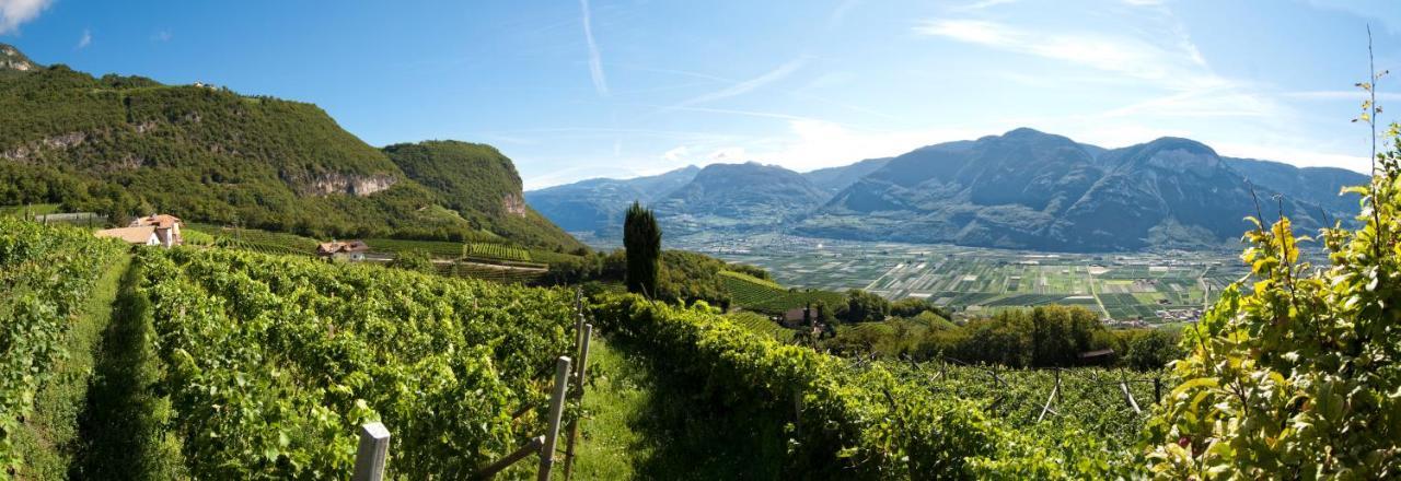 Апартаменти Santlhof - Sauvignon Кортачча-сулла-Страда-дель-Віно Екстер'єр фото